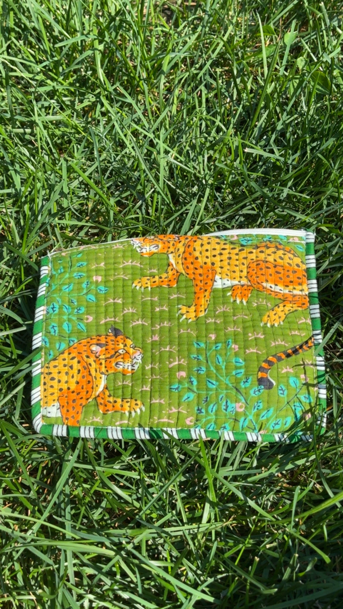 small pouch