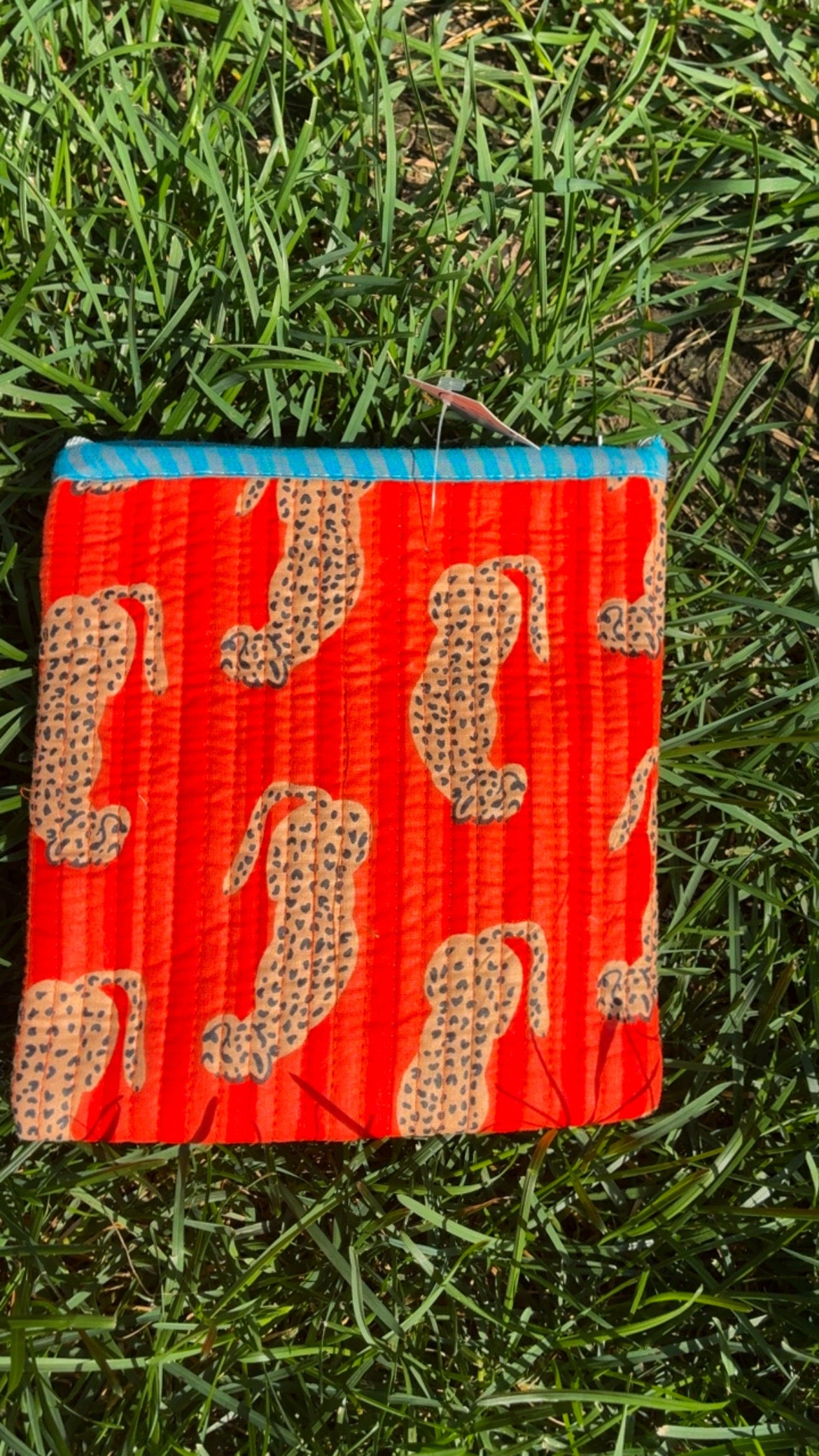 Small Pouch