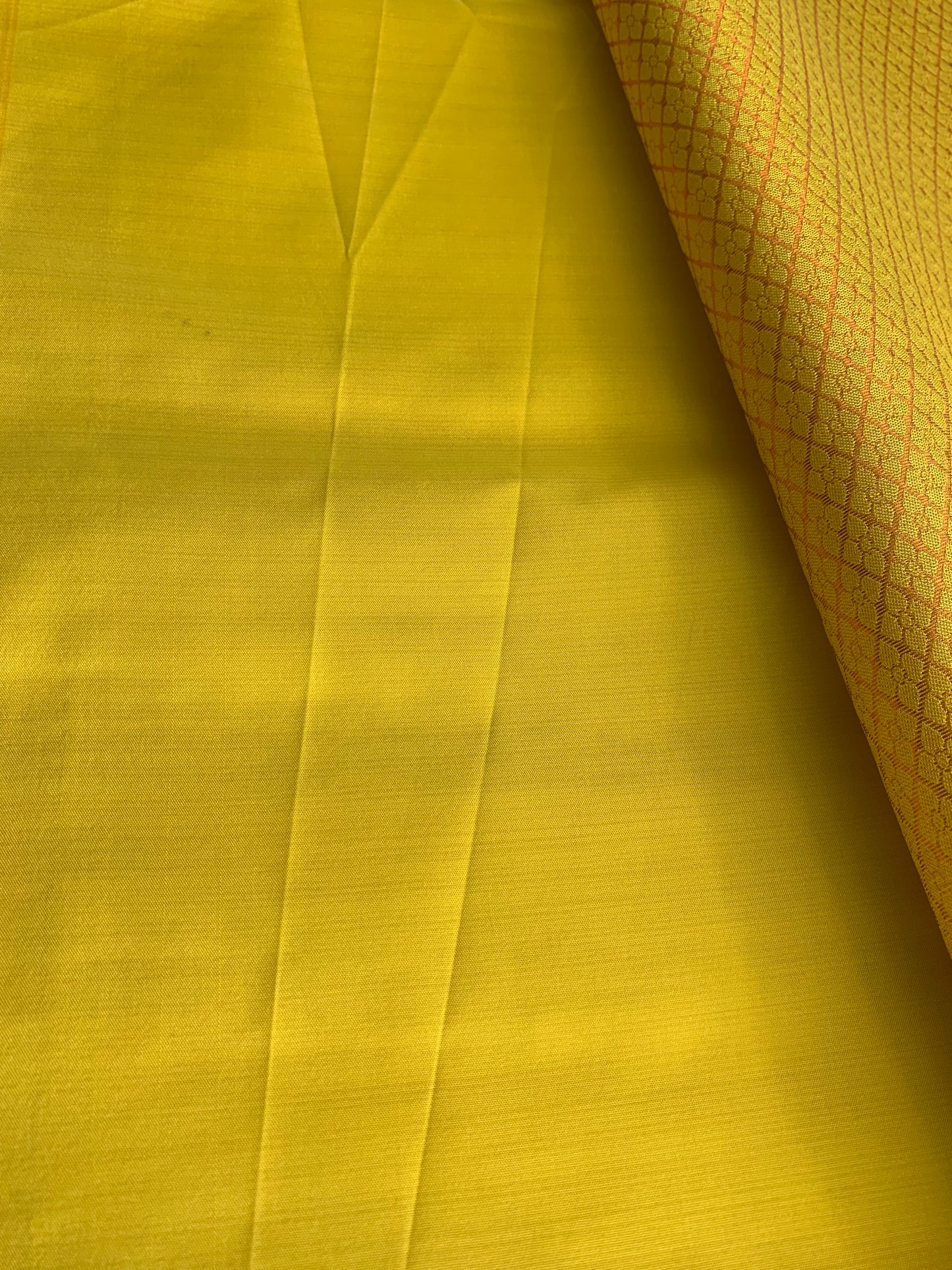 Off-White Semi Kanchipuram Silk Saree